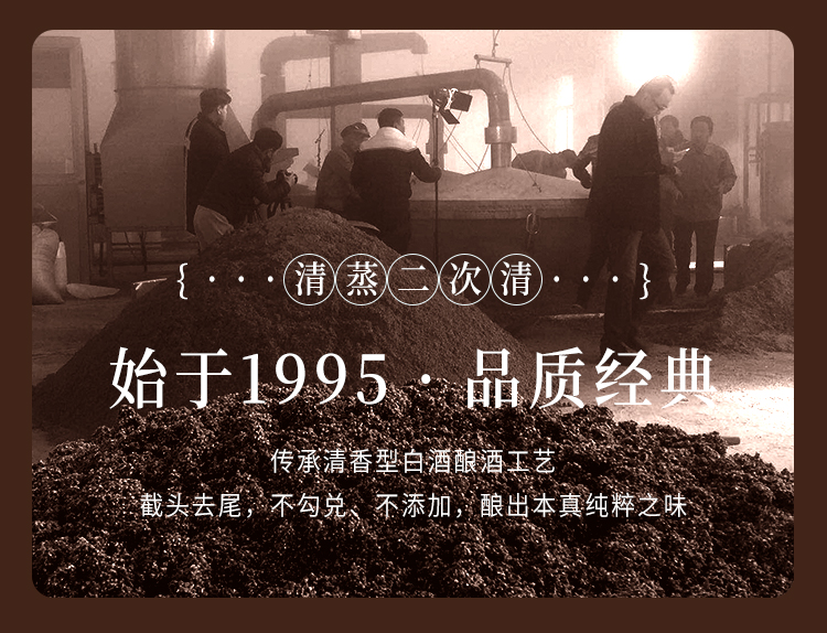 酒金蓉_06.jpg